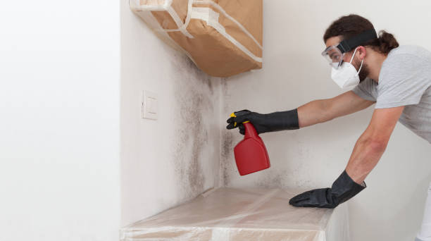 Professional Bathroom Mold Removal technician working in Baldwin, PA